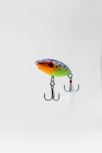 Back Water Bandit Buddercups