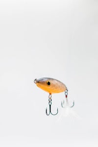 Back Water Bandit Buddercups