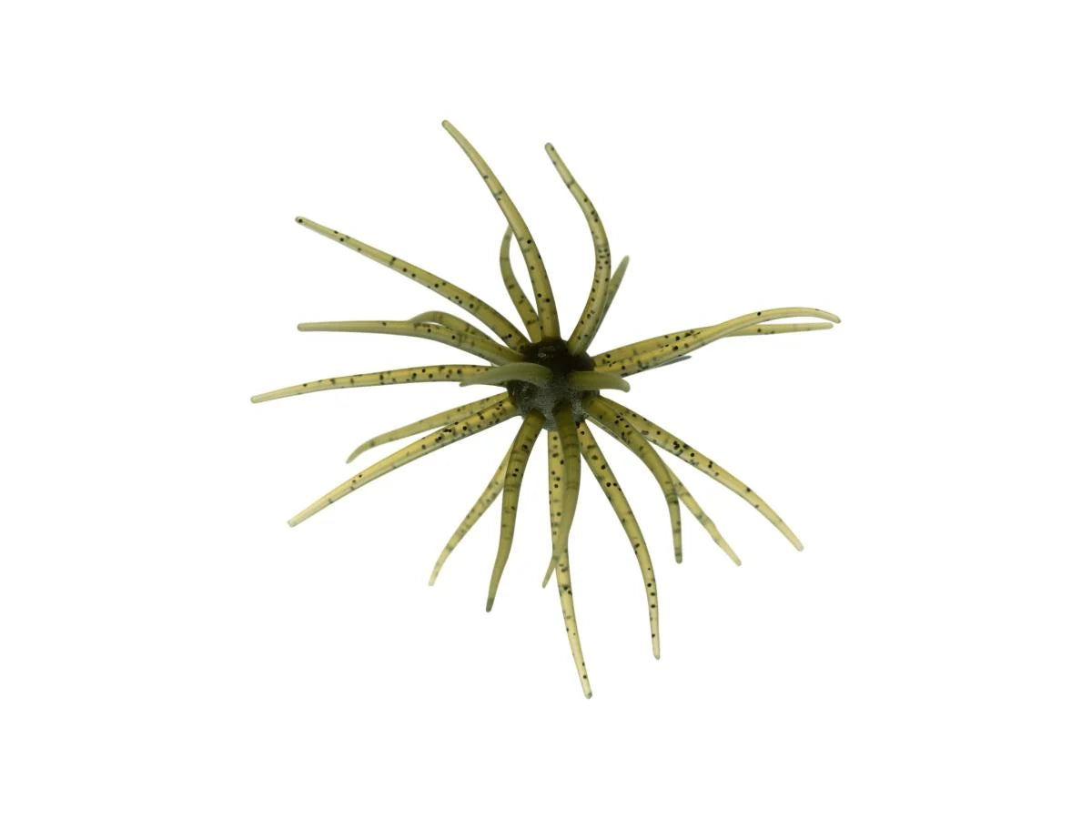 Coike 13mm Watermelon Seed #102