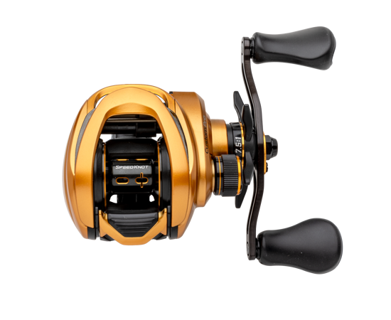 Lew's Custom Pro Casting Reel