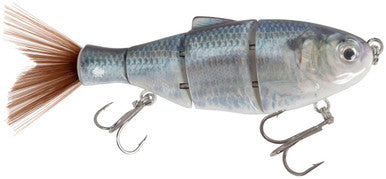 6" BD Shad Slow Sink - Lit Up