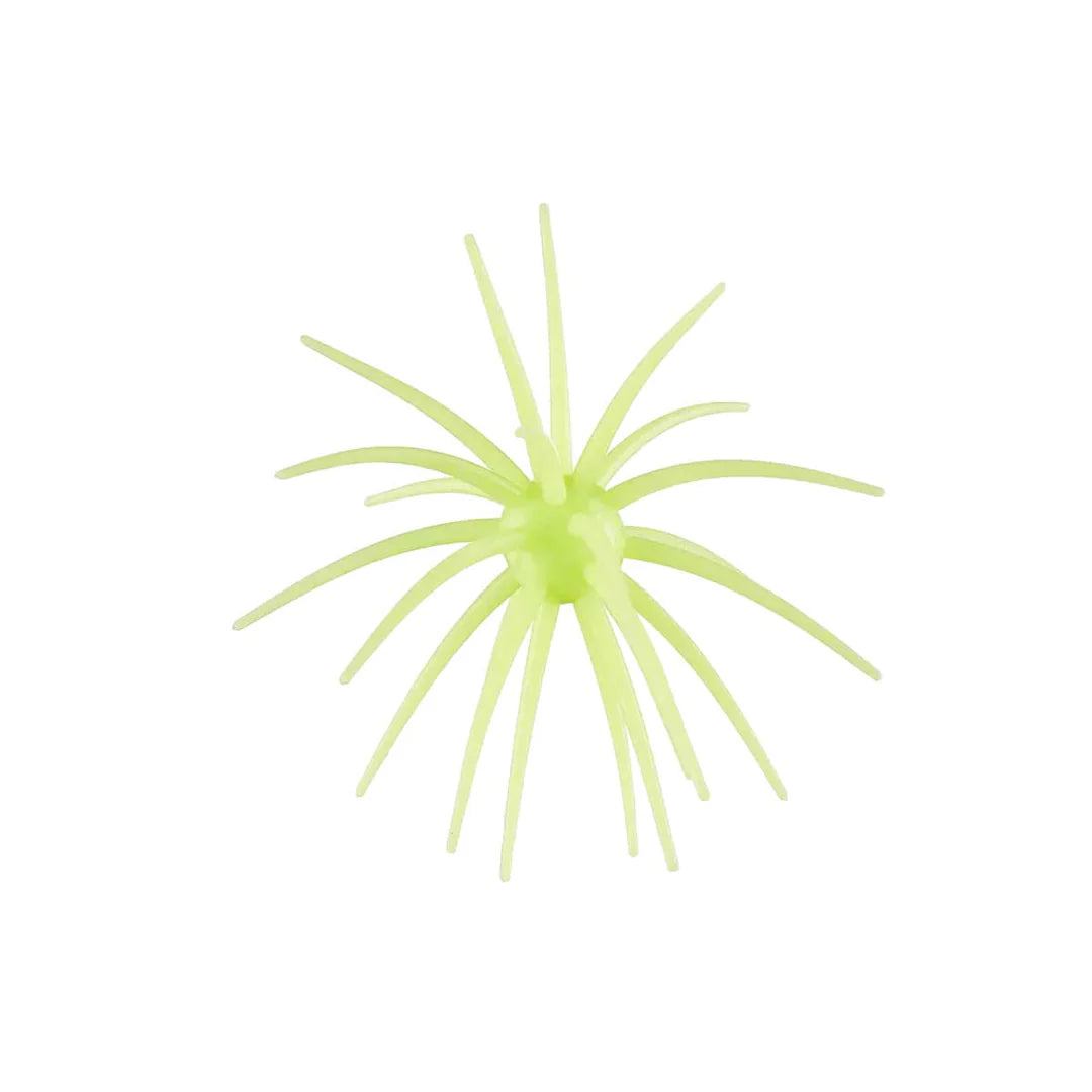 Hags Bait Prickly Pear 19mm