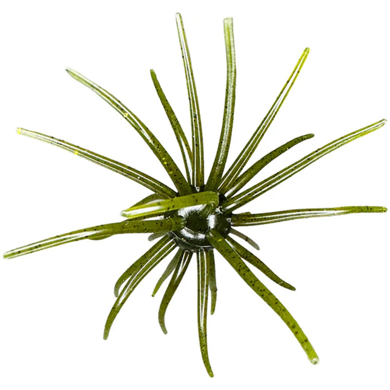 Hags Bait Prickly Pear 19mm