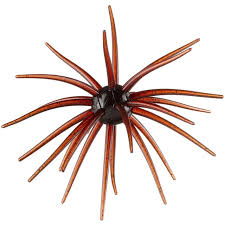 Hags Bait Prickly Pear 19mm